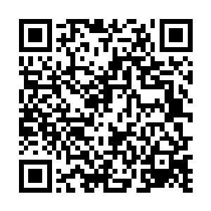 巴克是真没想到这种满带诱惑的鼻音会出现在向婉身上二维码生成