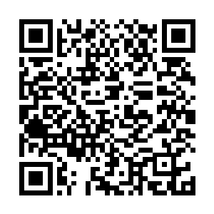 巴克有点怀疑难道是望远镜的玻璃片反光被对方发现了二维码生成