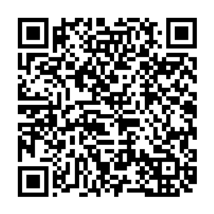 巴克正在给面前高高低低或坐或站的金雕以及尖子生们也在解释这个问题二维码生成