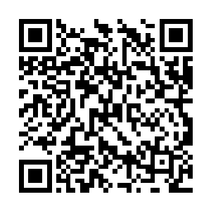 巴克没跟那些游客一般目光有意无意在那倩影身上二维码生成