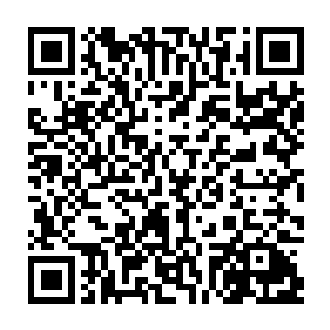 巴克甚至让刘泰谷按照地图跟坐标等高线做了一张全方位的海岛模拟结构图二维码生成