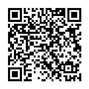 巴克的确是很难得有时间给这些刚出国门的部下聊这个二维码生成