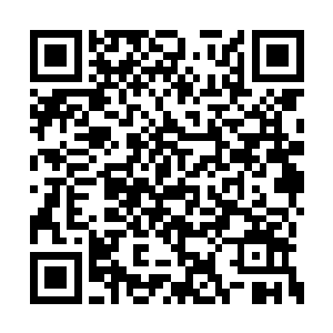 巴克的聚焦点只有那个还在轻微摇动的单兵帐篷二维码生成