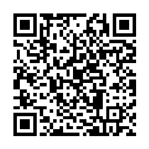 巴克目光大略的在身边扫过就明白几乎所有人都在自己这里二维码生成