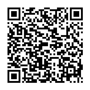 巴克看看自己旁边蹲起来也就跟个大南瓜一样大小的小不点阿契卡二维码生成