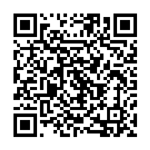 巴克看见一个年轻的尖子生还偷偷的对着外面的身影行军礼二维码生成