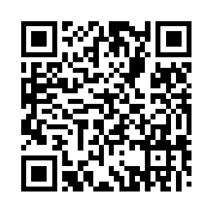 巴克穿着灰色羊毛衫趴在绘图板上的样子二维码生成