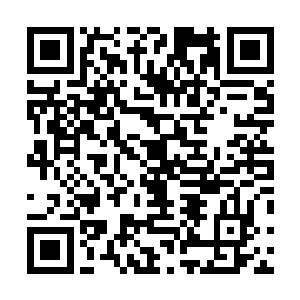 巴克能理解那是为了对抗支援叙利亚境内的库尔德人造反二维码生成