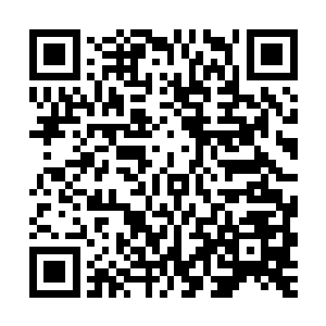 巴克脑海中一直有点惴惴不安的疑点顿时在看见这几条狗的时候二维码生成