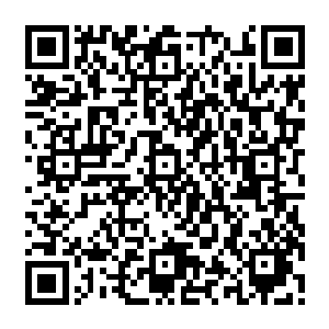 巴克走的时候故意把一块爷孙俩的金属锅盖用砖头挑在了废墟边的过道上做了个机关二维码生成