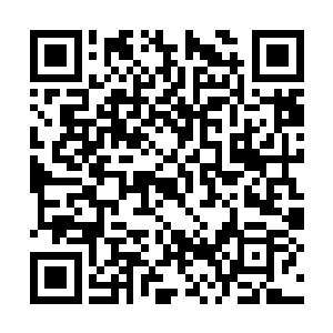 巴克还很不讲究的把天正集团提供的车给家人留下二维码生成