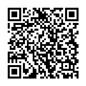 巴克还是清楚自己单枪匹马潜游进一个一无所知的水下通道里二维码生成