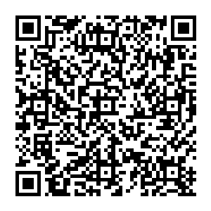 巴利这个大嘴巴的家伙一定会把自己身上遭遇的这么一点事宣扬得让所有飞机兄弟会的家伙知道二维码生成