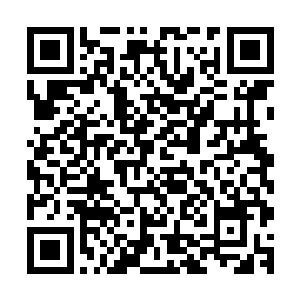 巴勒莫前场断球之后立刻就发动了一次看起来很有威胁的进攻二维码生成