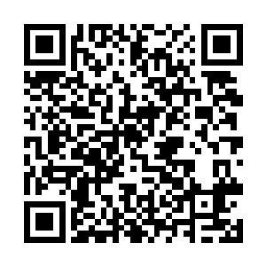 巴尔赫从一旁的血池里取出一只还在蠕动的恶魔之卵二维码生成