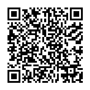 巴斯菲尔德先生专门为晓婷聘请的医疗专家团地经过严谨的诊断之后一致认定二维码生成