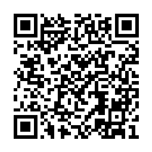 巴蛇的身形突然出现在翻天的上空望着翻天喝道二维码生成