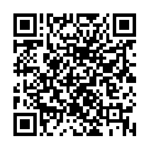 巴里一直都没有太多表情的脸颊此时就多出了一抹戏谑二维码生成