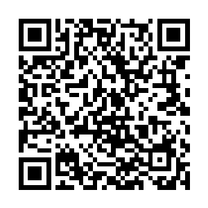 巴青岩也知道自己在这两人面前大概是没什么威信了二维码生成