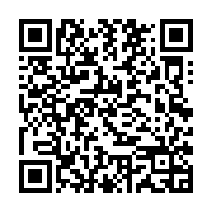 市卫生局肖局长在第一时间将此事汇报给了高副书记二维码生成