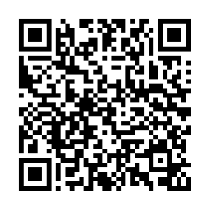 市卫生局长孙朝阳带着局里的三位专家已经来到二维码生成