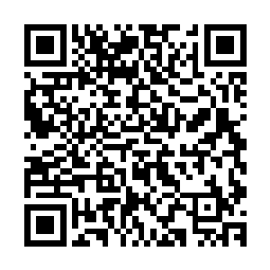 市场部和行政部已经确定了公司一年一度年终年会的活动方案二维码生成