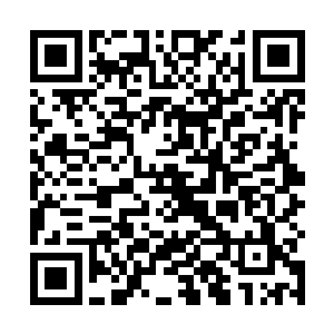 市场项目的推进对于我们区委来说基本上已经告一段落二维码生成