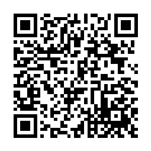 市委书记周天鸿让黄晓丽来担任运河县县长的目的了二维码生成