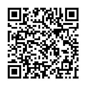 市委书记怎么会突然想到要提拔你当他的秘书呢二维码生成