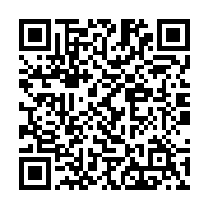 市委党组书记魏振伦那天联合市长郭文画想拿下自己二维码生成