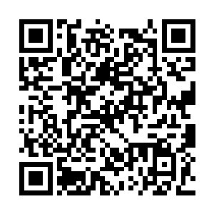 市局局长将大山和耿建峰正在研究怎么营救苏晓红二维码生成