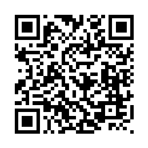 市局李局长带着专家们来到了益杨二维码生成