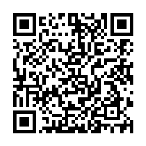 市府广场聚集着数万名情绪处于愤怒状态的的华夏人二维码生成