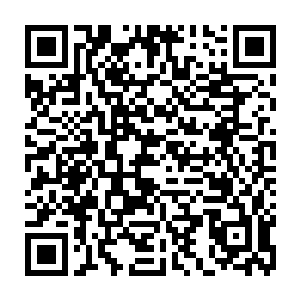 市政厅被他贿赂的官员应该没有理由阻止军队出兵清缴那群豺狼人了才是二维码生成