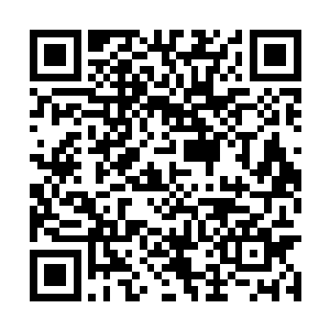 市政道路管线的铺设到厂房建设再到各种手续办理二维码生成