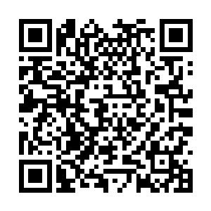 市电视台的领导这回终于做了件大快人心的事情啊二维码生成