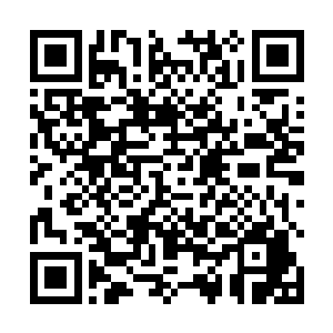 市级换届选举的日子在雨点拍打街面的声音里如约而至二维码生成