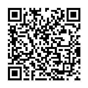 市里的政策是各县市区委书记都是县委委员候选人二维码生成