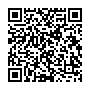 市里那些比较大的盟会成员一般不来我们这种小地方二维码生成