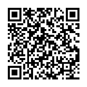 市长大人还有那个公安部长的千斤都等着见赵长枪呢二维码生成