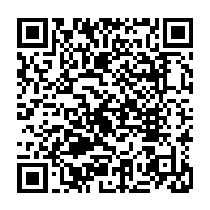 市长碰头会议以及市政府召开的全市性重要会议和综合性会议的会务组织二维码生成
