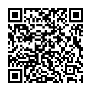 市长郭文画的口气极其严厉的让他不要干预司法公正二维码生成