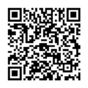 市长陈露萍都忍不住笑着推了推还傻站着的女儿秦嫣然二维码生成