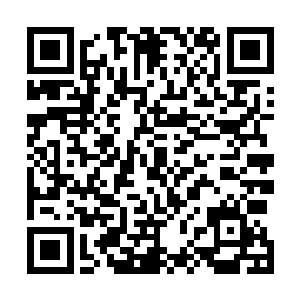 布包里面装着茅山派半年试炼获得妖兽内丹和妖兽的皮毛二维码生成