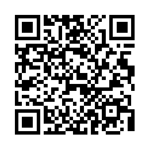 布尼老板宣布了准备工作彻底完成的好消息二维码生成