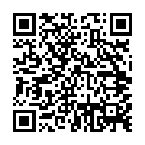 布尼老板把这两块多余的金属包裹在我的大腿外面了二维码生成