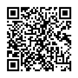 布局摆设跟朱平安在现代参观的那些个县衙旧址差不多二维码生成