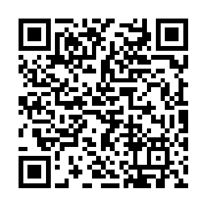 布拉德一皮特坐在办公室里看着眼前的马丁一鲍姆二维码生成