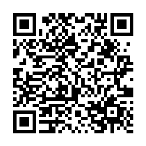 布拉德和汤姆都缺席了金酸莓奖的颁奖典礼――准确来说二维码生成