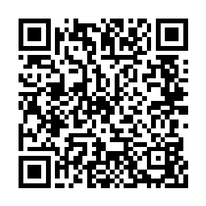 布拉德在这两部作品之中出演的角色都比较相似二维码生成